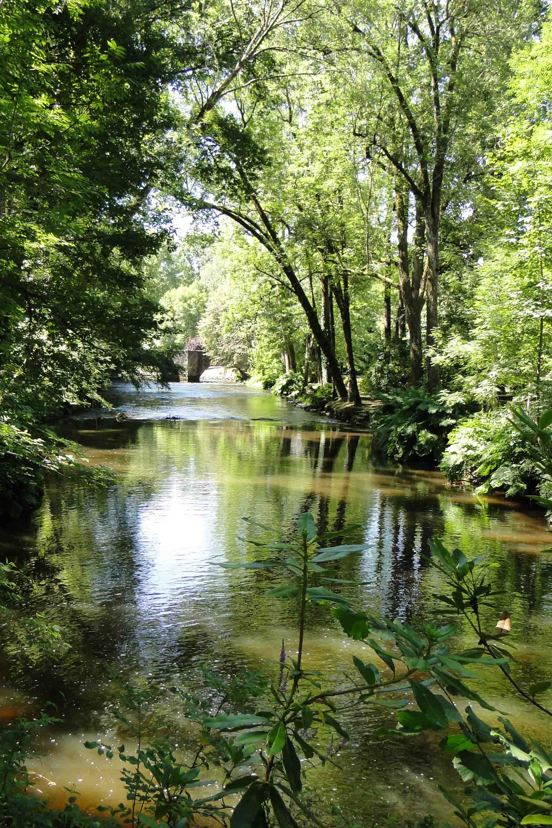vezere